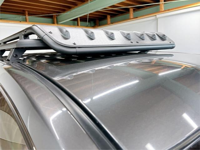 �O����V��̏�Ԃ͗ǍD�ŁA�{�f�B�S�̂ɖڗ����┍����͌����܂���B�h���ʂ̉����ۂ���Ă���A���J�Ɉ����Ă�����ۂ̈��ł��B�����X���ɂ́A���Ў��ԂŃR���f�B�V���������m�F���������B