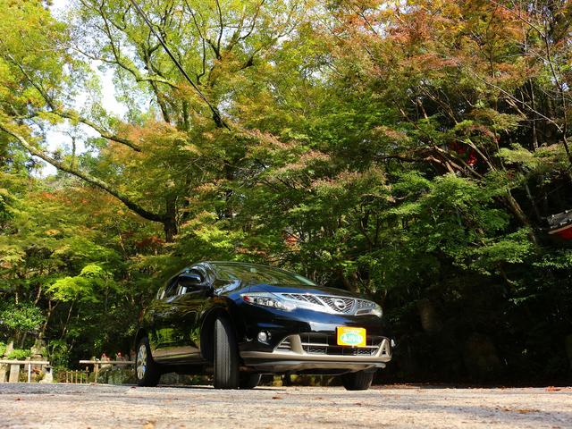 ムラーノ ２５０ＸＬ　ナビゲーションシステム　サイドブラインドモニター　バックビューモニター　ＥＴＣ　ブルートゥース　ＵＳＢ　ＴＶ　キセノン　オートライト　フルオートエアコン　オートスピードコントロール　禁煙車　１オーナー（73枚目）