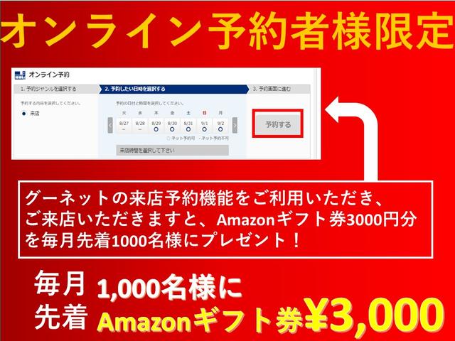 X SA 後期型 スマートアシスト 横滑り防止装置 エコアイドル プッシュスタート ワンオーナ―(47枚目)