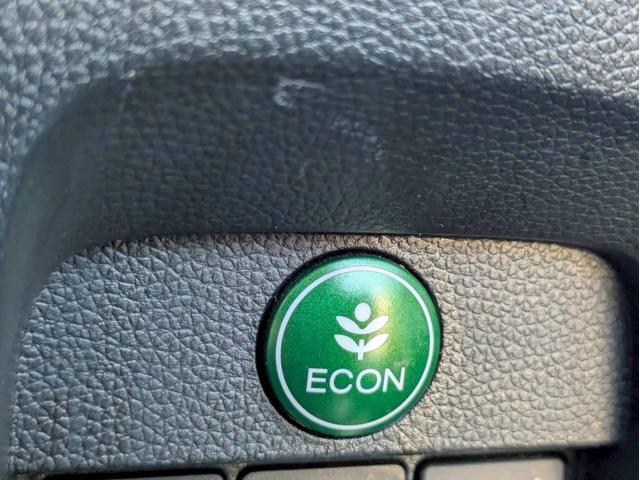 Ｎ－ＯＮＥ Ｇ・ローダウン　社外ＳＤナビ　横滑り防止装置　アイドリングストップ　オートエアコン　ＡＢＳ　ＨＩＤヘッドライト　プッシュスタート　スマートキー　盗難警報装置　電動格納ミラー　純正アルミ　ＥＴＣ付き（24枚目）