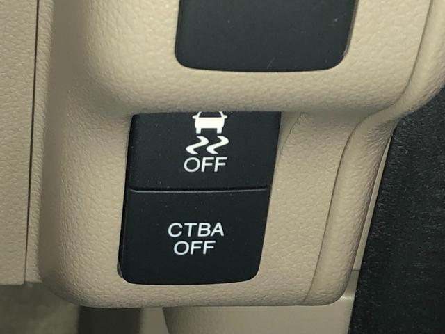 �P�K�ɂ̓T���L���b�p���烈���L���b�p�̂��Ԃ�W�����Ă���܂��􂨋C�y�Ɍ��ɗ��Ă���������