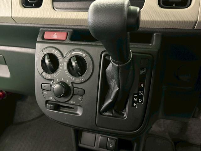 �P�K�ɂ̓T���L���b�p���烈���L���b�p�̂��Ԃ�W�����Ă���܂��􂨋C�y�Ɍ��ɗ��Ă���������