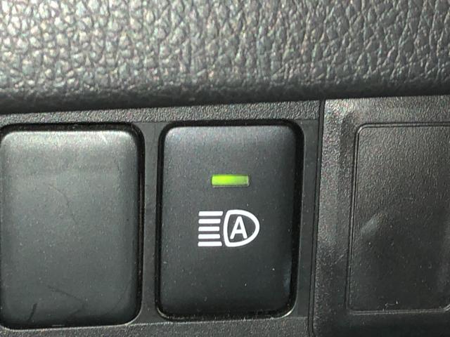 �P�K�ɂ̓T���L���b�p���烈���L���b�p�̂��Ԃ�W�����Ă���܂��􂨋C�y�Ɍ��ɗ��Ă���������