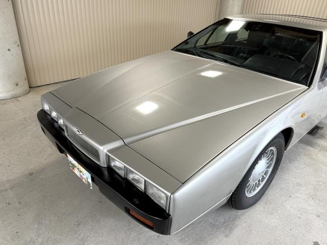 ラゴンダ （13枚目）