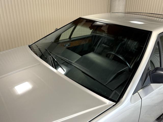 ラゴンダ （14枚目）