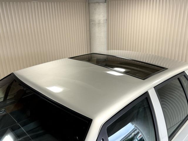 ラゴンダ （15枚目）