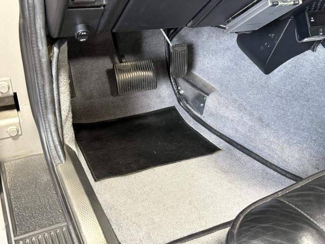 ラゴンダ （27枚目）