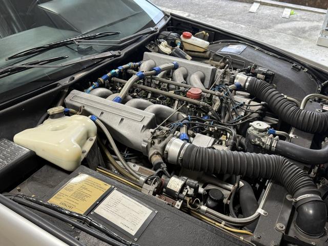 ラゴンダ （32枚目）