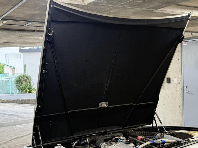 ラゴンダ （33枚目）