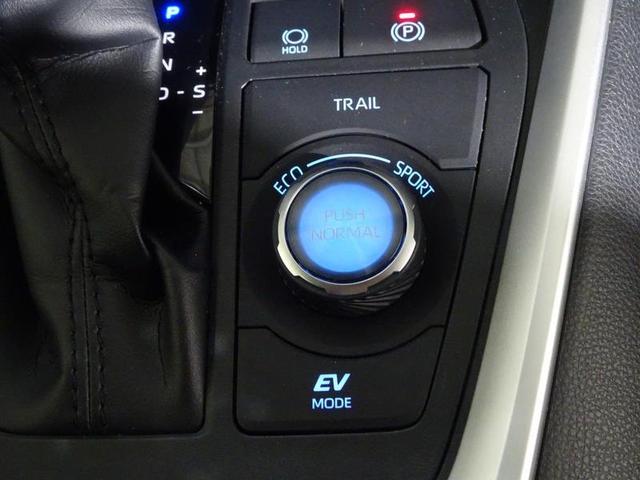 RAV4 ハイブリッドG 4WD フルセグ メモリーナビ DVD再生 バックカメラ 衝突被害軽減システム ETC ドラレコ LEDヘッドランプ ワンオーナー 記録簿(33枚目)
