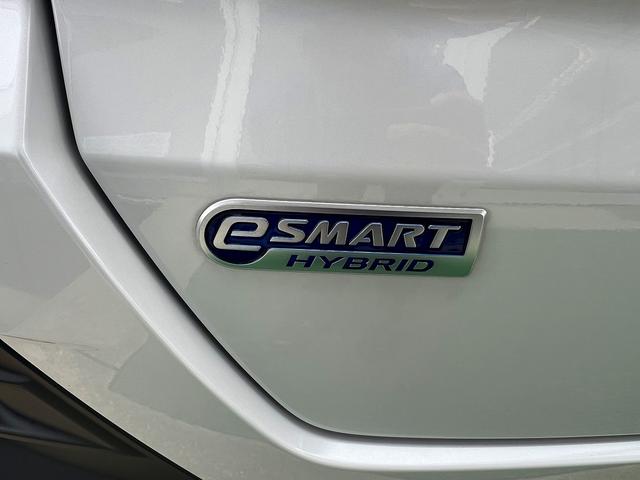 ロッキー プレミアムG HEV☆ディスプレイオーディオ☆試乗OK☆ ディスプレイオーディオ☆バックカメラ☆ハーフレザーシート☆前席シートヒーター☆LEDオートライト☆17AW☆スマートアシスト☆レーダークルーズC☆S-PDL☆電子パーキング☆電動格納ミラー☆試乗OK(43枚目)