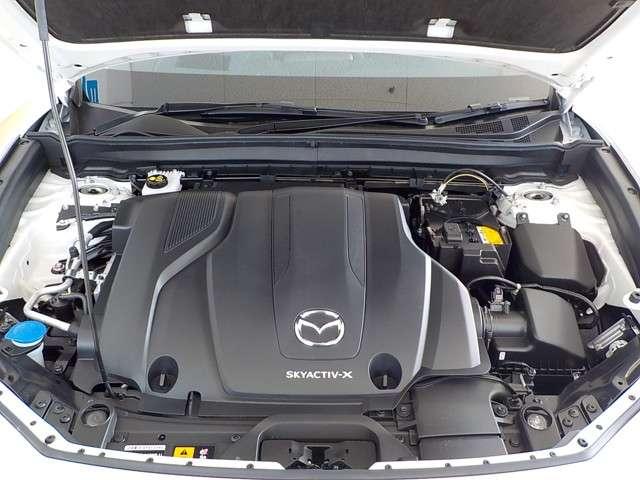 X PROACTIVE Touring Selection (7枚目)