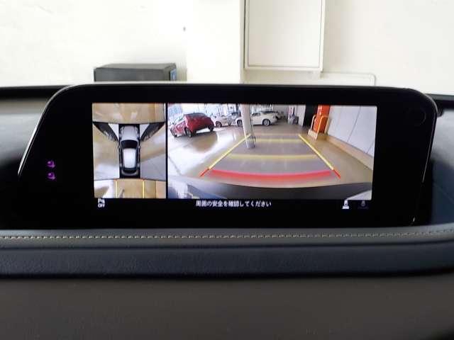 X PROACTIVE Touring Selection (11枚目)