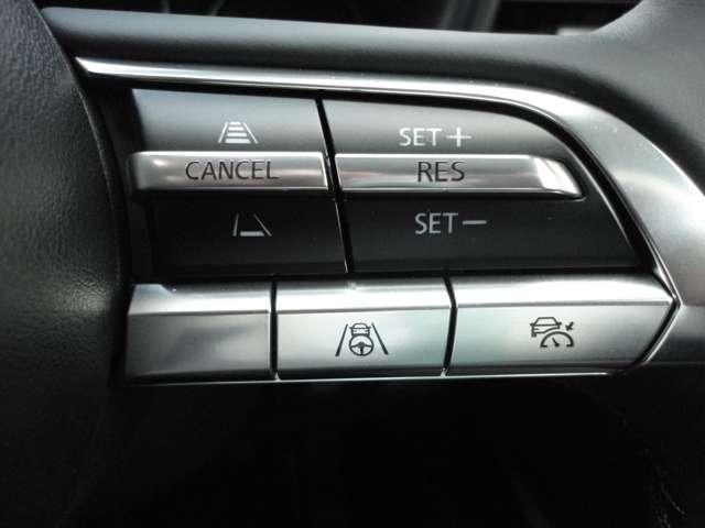 X PROACTIVE Touring Selection (14枚目)