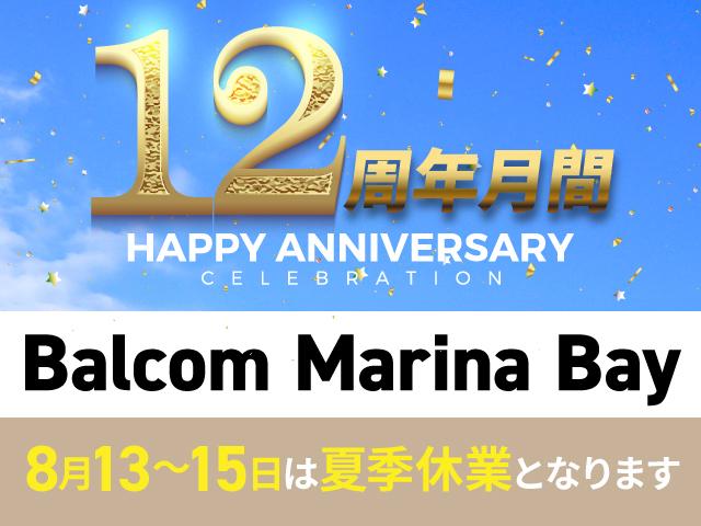 Ｂ２５０　４マチック　スポーツ　レザーエクスクルーシブＰＫＧ　アンビエントライト　ハーマンカードンサウンド　レーダーセーフティＰＫＧ　ディストロニックプラス　ブラインドスポットアシスト　レーンキーピングアシスト　ＰＲＥーＳＡＦＥ(3枚目)