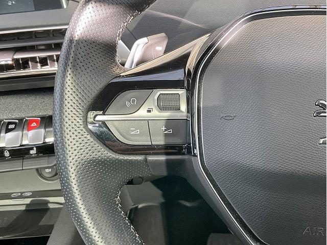 ���X�e�A�����O�X�C�b�`���p�h���V�t�g���I