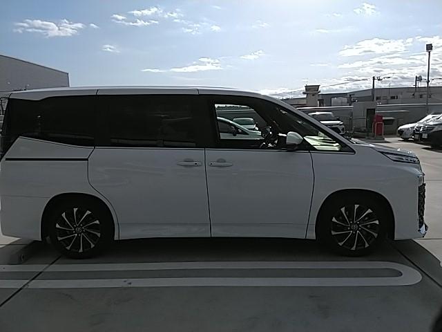 �{�f�B�T�C�Y�͒����S�U�X����×���P�V�R����×�����P�W�X�����ł��B