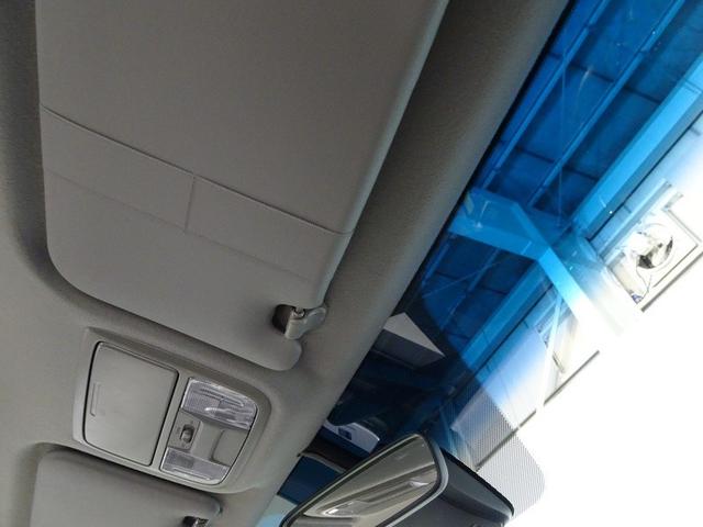 �������̂Ȃ��V�䂪�A�ԓ�������ɍL�����������Ă���܂��B