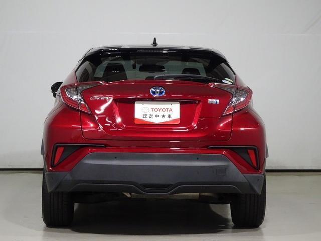 �J���̌�����E���A���N���A�ɁI�������C�p�[�t���B