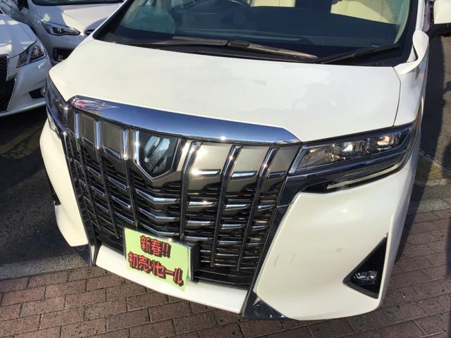 �������͂��q�l�̂��ǂ��J�[���C�t������Ă����Ă��������܂��I