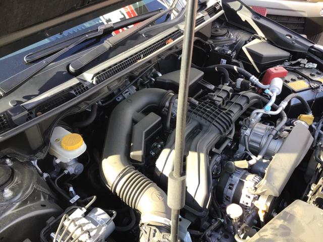 ����p�̓������E���������́I