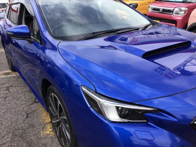 ����p�̓������E���������́I