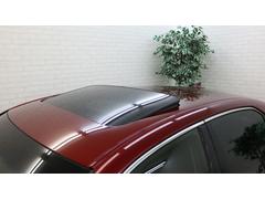 饦ϥ֥å ꡼ȣӡ롼աУϣףţңߡֹĴʥ 1002031A30251103W001 6