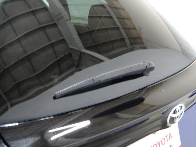 �J���̌�����E���A���N���A�ɁI�������C�p�[�t���B