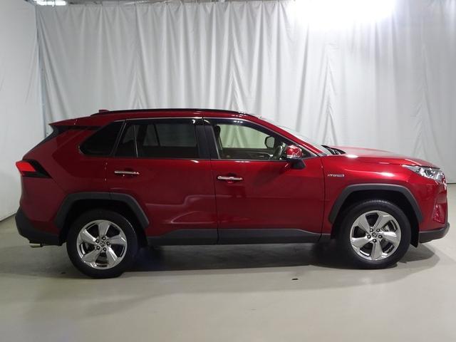 RAV4 ハイブリッドG 4WD フルセグ メモリーナビ DVD再生 バックカメラ 衝突被害軽減システム ドラレコ LEDヘッドランプ ワンオーナー 記録簿(18枚目)