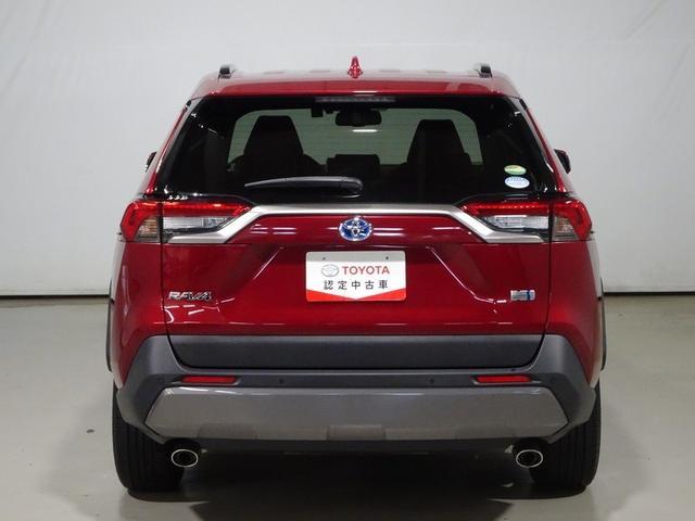 RAV4 ハイブリッドG 4WD フルセグ メモリーナビ DVD再生 バックカメラ 衝突被害軽減システム ドラレコ LEDヘッドランプ ワンオーナー 記録簿(20枚目)