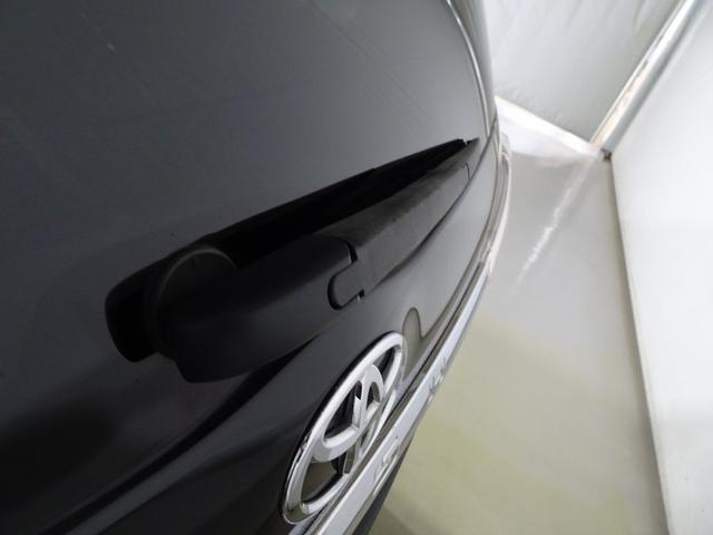 �J���̌�����E���A���N���A�ɁI�������C�p�[�t���B