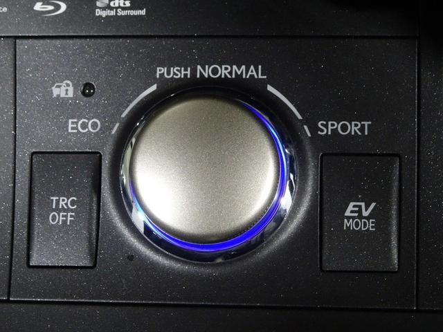 CT CT200h バージョンC フルセグ メモリーナビ DVD再生 バックカメラ 衝突被害軽減システム ETC ドラレコ LEDヘッドランプ ワンオーナー 記録簿(30枚目)