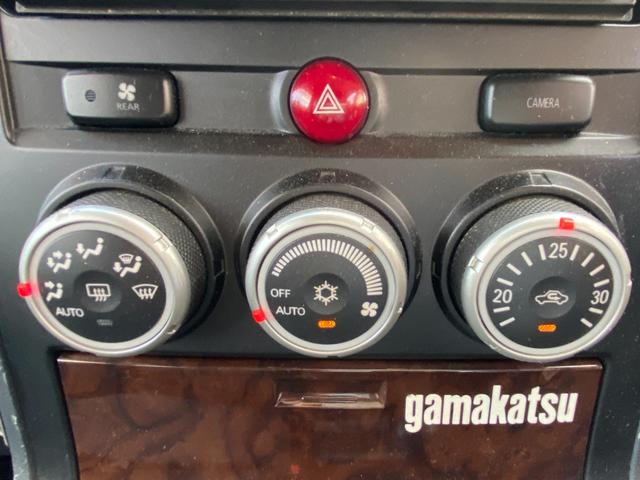 デリカD:5 エクシードII ETC ナビ オートクルーズコントロール HID スマートキー 3列シート CVT アルミホイール CD 盗難防止システム 衝突安全ボディ ABS ESC オートエアコン 小傷あり(9枚目)