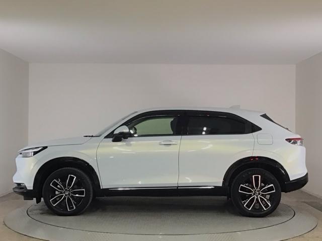 ���X�ł̔̔��ԗ��́A�Ԍ������͂������A�Ԍ��c����̎ԗ��ł��_����������������I��点�Ă��炨�q�l�ֈ����n���v���܂��̂ŁA���S���Ă��w�����������܂���