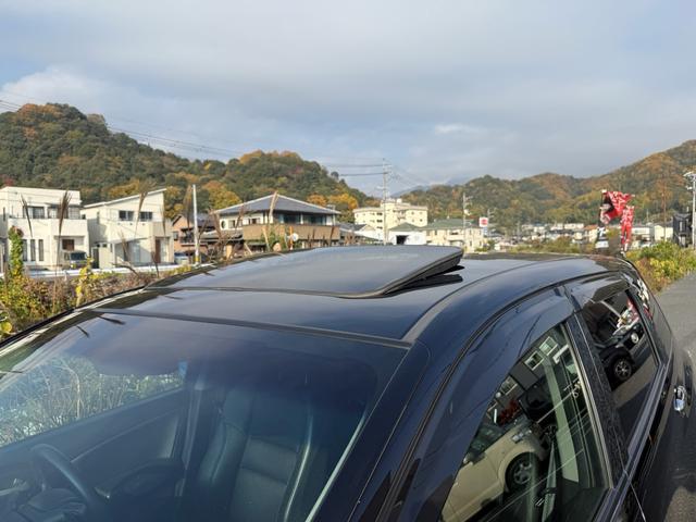 �T�����[�t���t���Ă���A��ɂ͎Ԃ̒����琯������܂��ˁ�