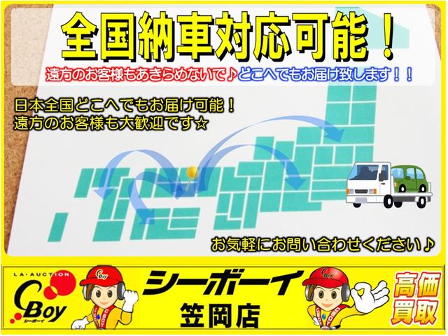 XS タイミングチェーン 全国対応可1年保証付き 純正SSDナビ CD DVD フルセグTV バックカメラ スマートキー プッシュスタート 左電動スライドドア オートライト付きHID フォグランプ ABS(35枚目)