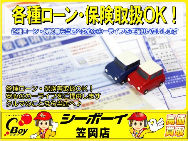 XS タイミングチェーン 全国対応可1年保証付き 純正SSDナビ CD DVD フルセグTV バックカメラ スマートキー プッシュスタート 左電動スライドドア オートライト付きHID フォグランプ ABS(39枚目)