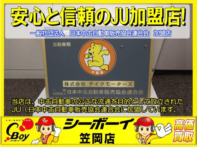 XS タイミングチェーン 全国対応可1年保証付き 純正SSDナビ CD DVD フルセグTV バックカメラ スマートキー プッシュスタート 左電動スライドドア オートライト付きHID フォグランプ ABS(41枚目)