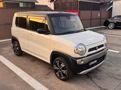 �ϥ��顼 �ǡ��ҳ���������ȣģĥʥӡ��ե륻���ԣ֡��졼�����֥졼�����ݡ��ȡ������ɥ�󥰥��ȥå� 1002157A30251219W001 4