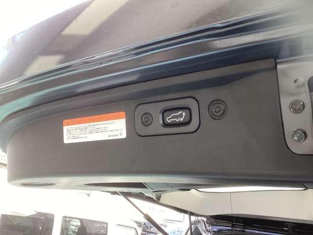 デリカD:5 シャモニー カスタム仕様 アイドリングS アクティブクルーズコントロール イモビ 衝突被害軽減装置 Bモニター サイドカメラ 助手席エアバッグ 地デジTV 電動リアゲート 4WD シートH パワーシート ABS(18枚目)