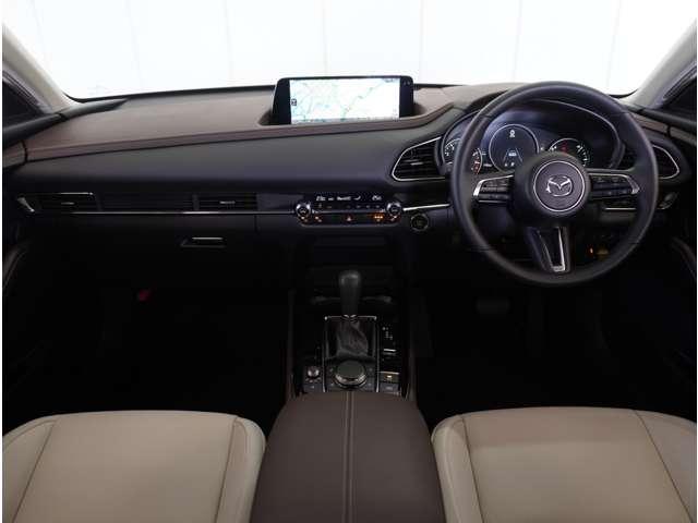 �y�C���p�l����z���쐫�E���F���E�����ƂR���q����������ł��B