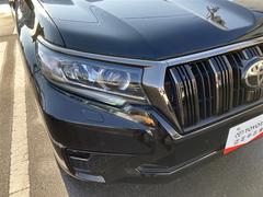 �̣ţĥإåɥ饤�ȤǤ����ǥ����������褯�ȤƤ����뤤�Τǡ���֤����Ԥ䰭ŷ���Ǥ�¿��Ǥ���������Ĺ��̿�� 6