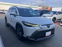 �������饯���� �ϥ��֥�åɡ��ڡ����꡼�ʥӡ��Хå�����顡�����ﳲ�ڸ������ƥ� 1002215A20251123T002 3