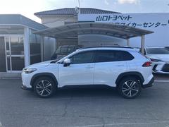 �������饯���� �ϥ��֥�åɡ��ڡ����꡼�ʥӡ��Хå�����顡�����ﳲ�ڸ������ƥ� 1002215A20251123T002 4