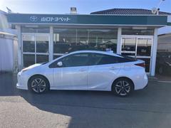 �ץꥦ�� �ӥġ���󥰥��쥯����󡡥ե륻�������꡼�ʥӡ��ģ֣ĺ������Хå������ 1002215A20251130T002 4