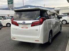 ����ե����ɥϥ��֥�å� �ǡ��ƥѥå��������ץ����ȡ��ե륻�������꡼�ʥ� 1002215A20251217T002 5