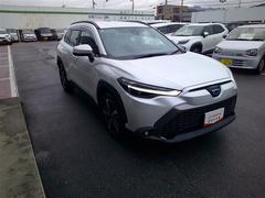 �������饯���� �ϥ��֥�åɡ��ڡ��ץ����ȡ��ե륻�������꡼�ʥ� 1002215A20251224T003 3