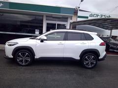 �������饯���� �ϥ��֥�åɡ��ڡ��ץ����ȡ��ե륻�������꡼�ʥ� 1002215A20251224T003 4