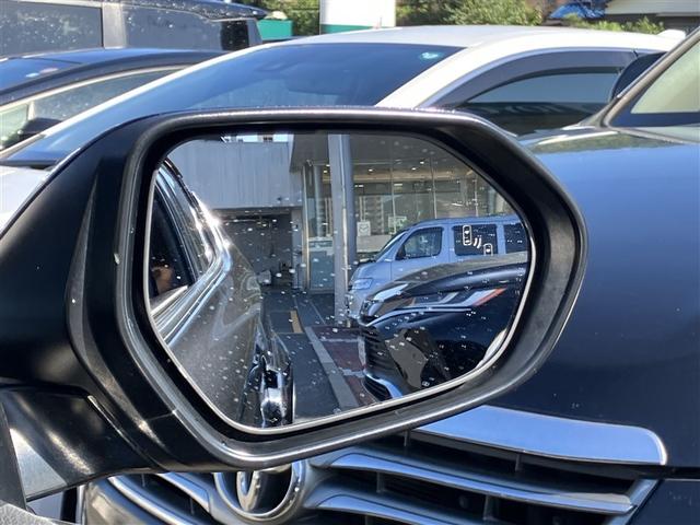 C-HR G フルセグ メモリーナビ DVD再生 バックカメラ 衝突被害軽減システム ETC LEDヘッドランプ ワンオーナー(24枚目)