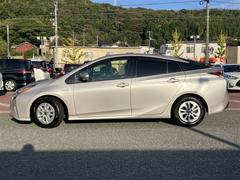 ץꥦ ӡ󥻥꡼ʥӡХå顡ﳲڸƥ 1002217A20251106T001 3